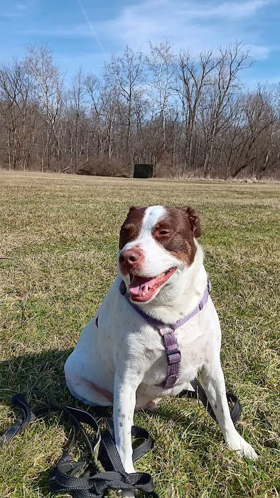 Veterinary Wellness Center of North Canton 12