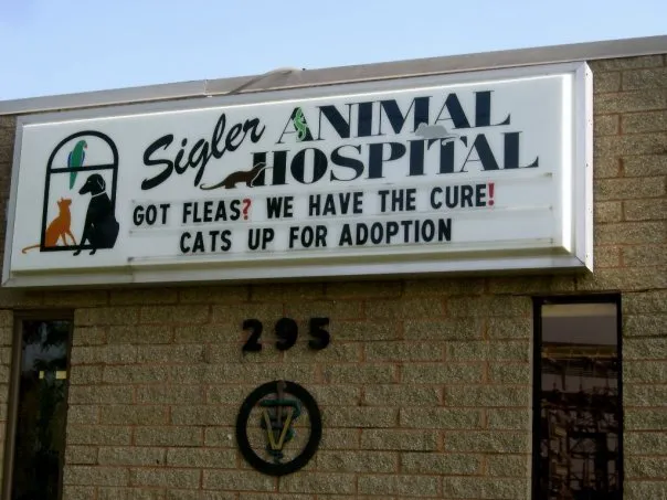 Sigler Animal Hospital 9