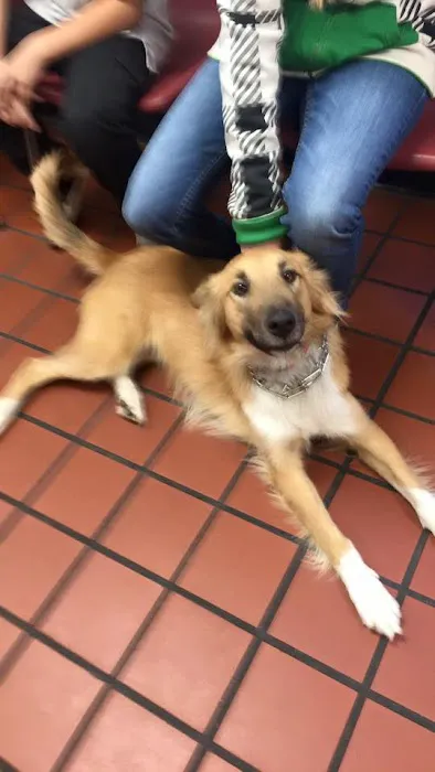 Sigler Animal Hospital 2