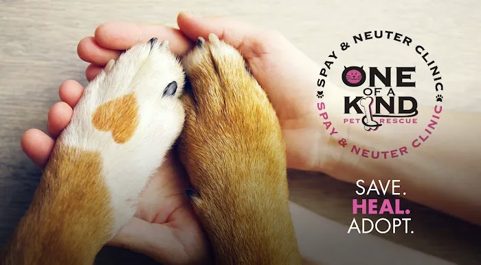 One of A Kind Pet Rescue Spay & Neuter Clinic 12