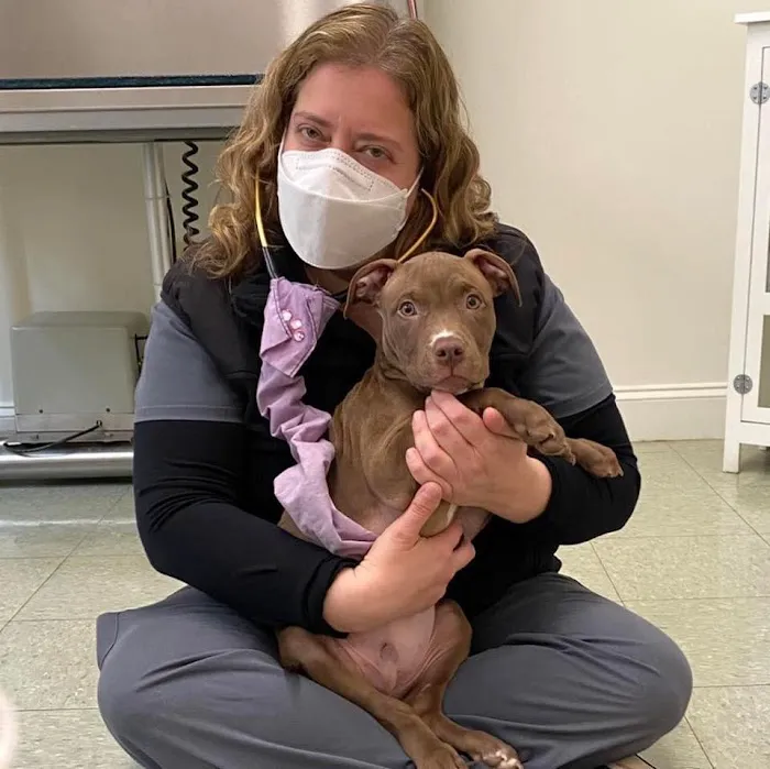 Highland Veterinary Clinic 12