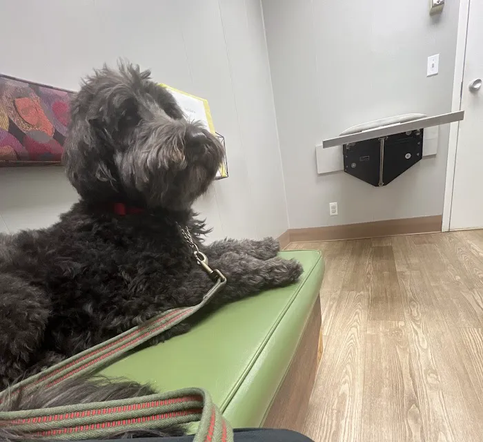 Bartels Pet Hospital 8