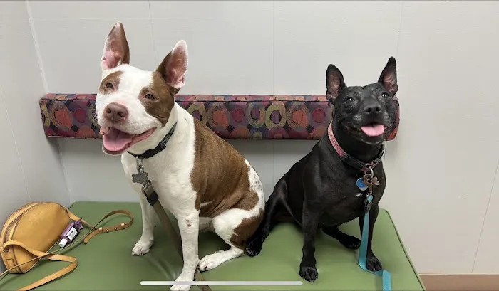 Bartels Pet Hospital 4