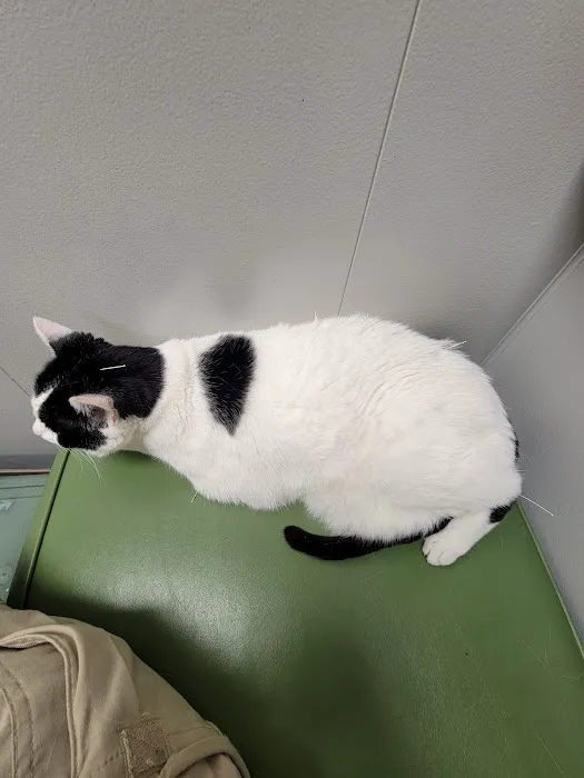 Bartels Pet Hospital 5