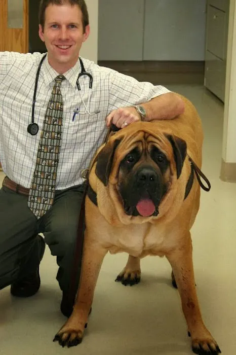Cuyahoga Falls Veterinary Clinic: Gates Ryan G DVM 12