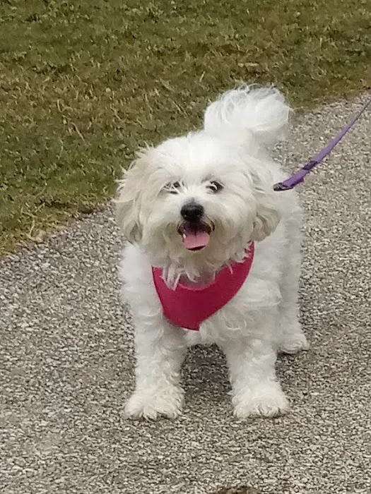Pet Guards Clinic: A Cuyahoga Falls Veterinarian 12