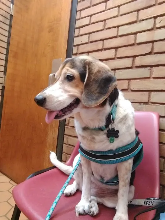 Graham Road Animal Hospital 12