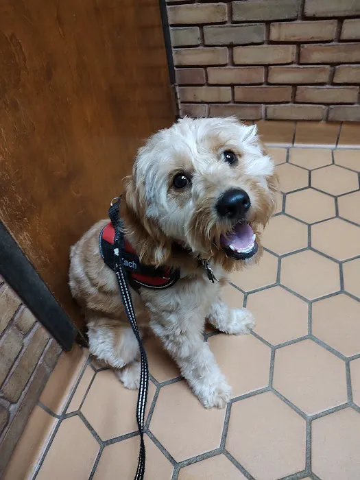 Graham Road Animal Hospital 12