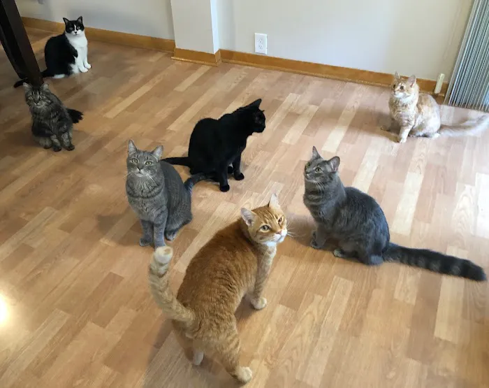 Wyoga Veterinary Hospital 12