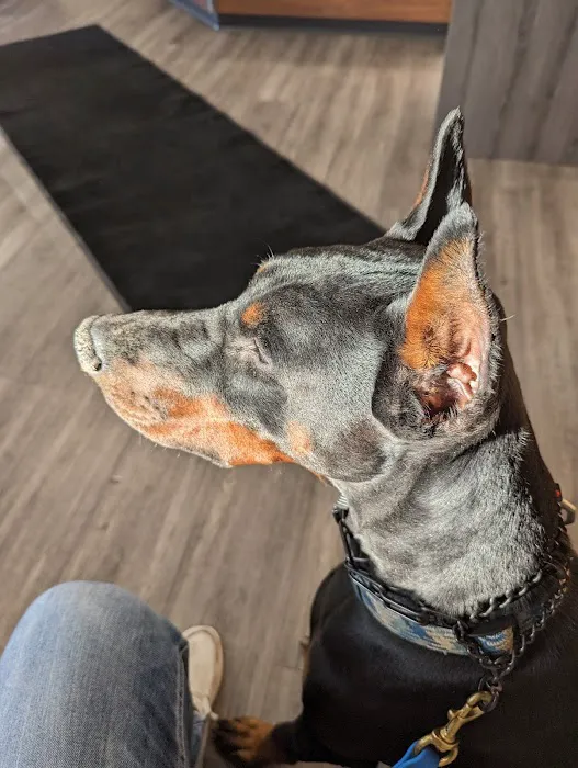 Wyoga Veterinary Hospital 12
