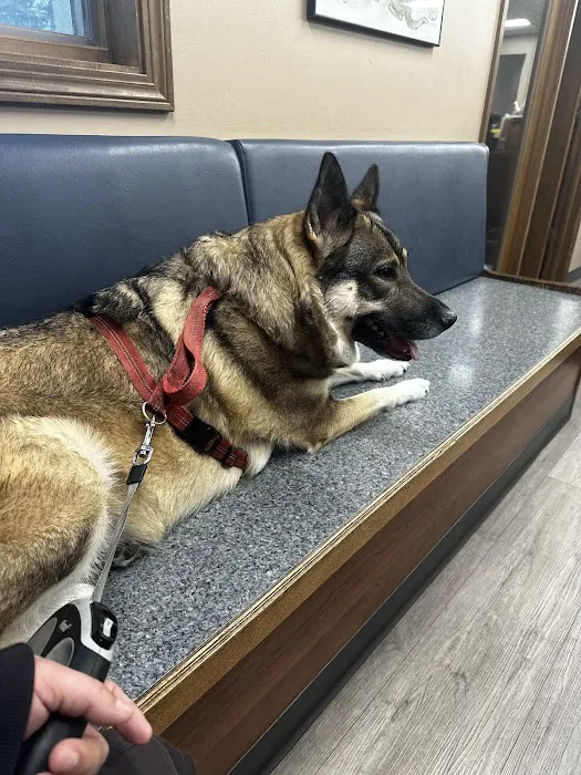 Wyoga Veterinary Hospital 12