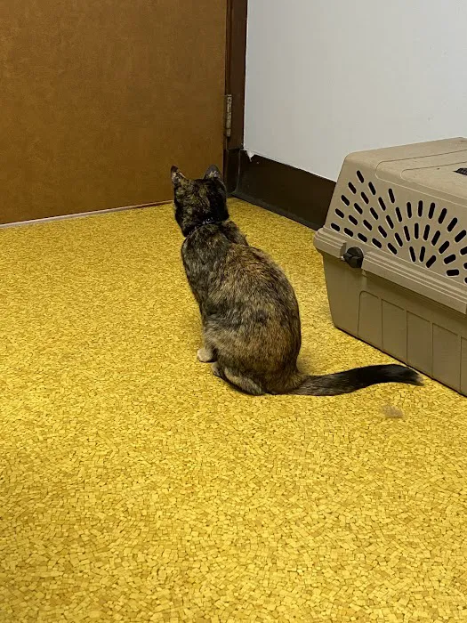 Roberts & Wendt Animal Hospital 12
