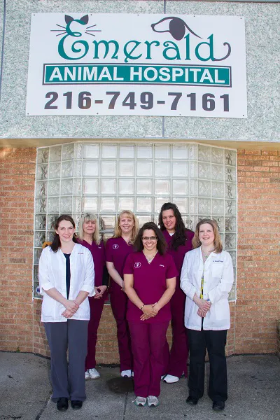 Emerald Animal Hospital 12