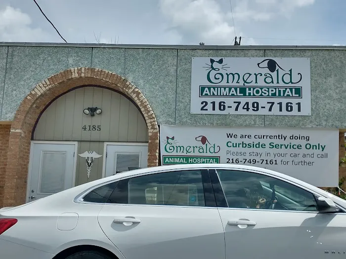 Emerald Animal Hospital 12