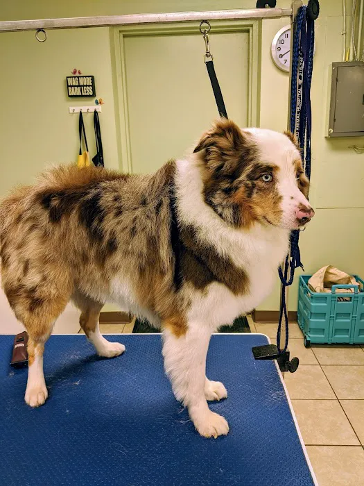 Emerald Animal Hospital 12