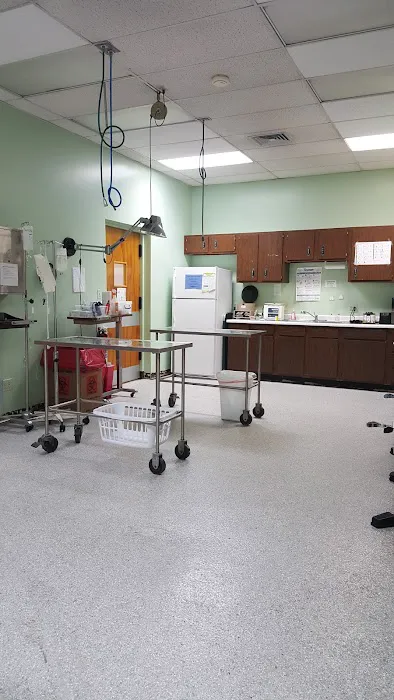 Brookview Animal Hospital 12