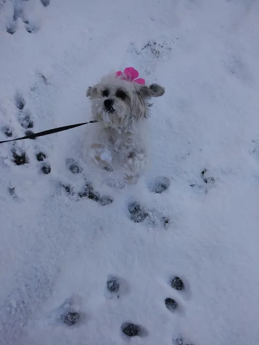 Cloverleaf Animal Hospital: Wright Fred J DVM 1