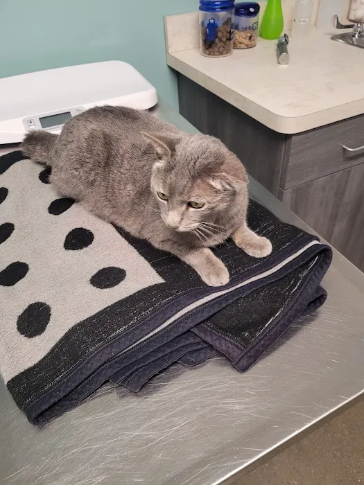 Tremont Animal Clinic 12