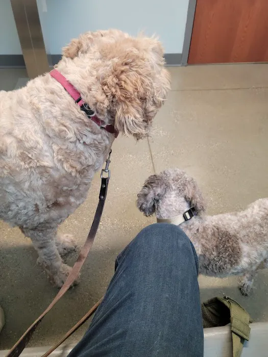 Tremont Animal Clinic 12