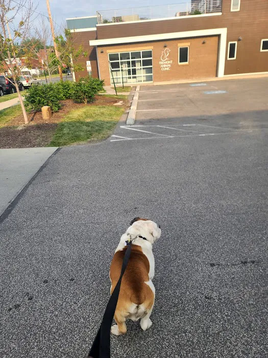 Tremont Animal Clinic 12