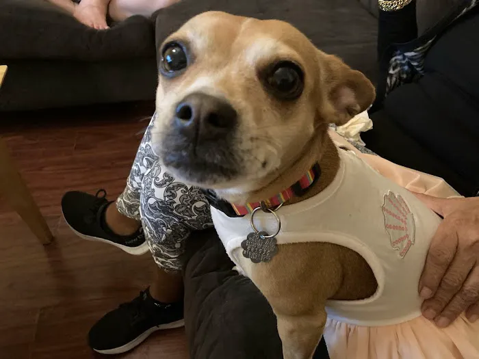 Tremont Animal Clinic 12