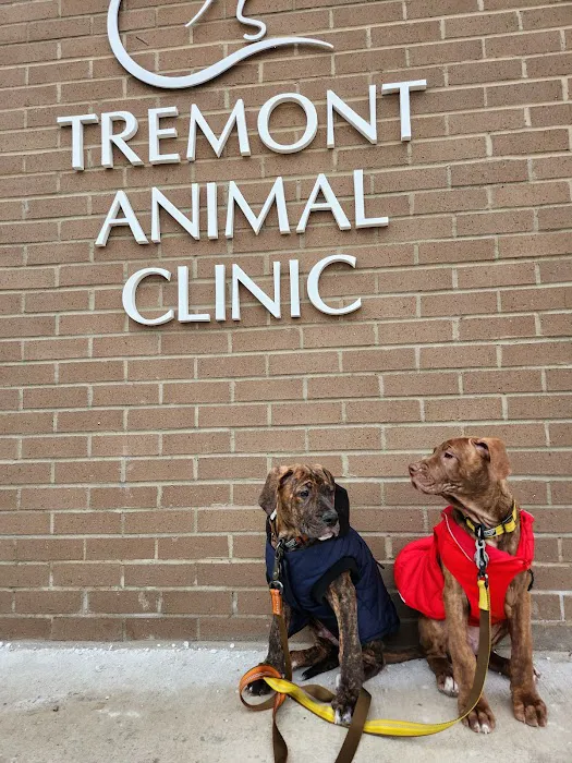 Tremont Animal Clinic 12