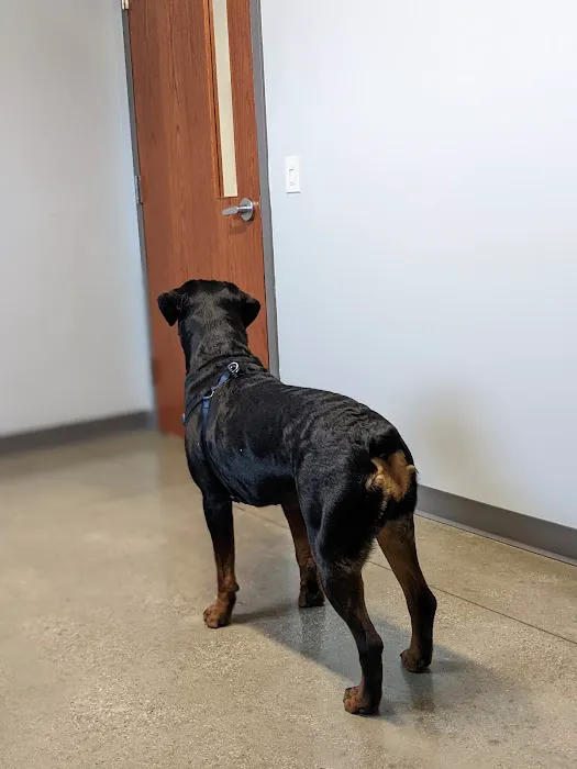Tremont Animal Clinic 12