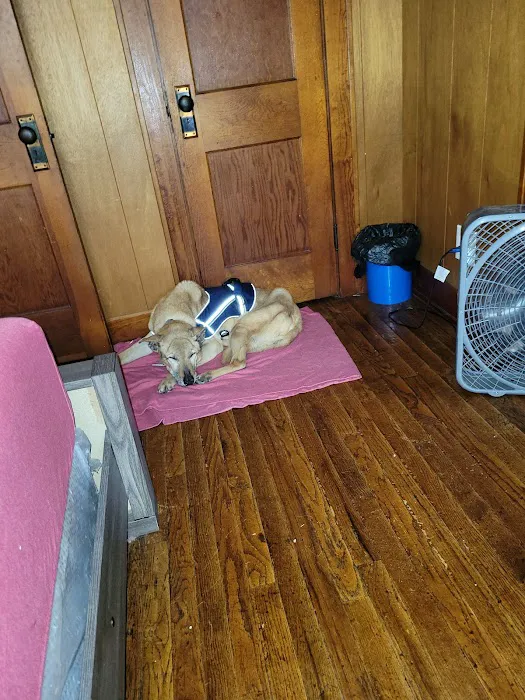 Cloverleaf Animal Hospital 8
