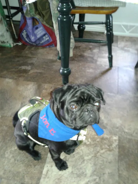 Veterinary Clinic Inc: Hudson Don DVM 1