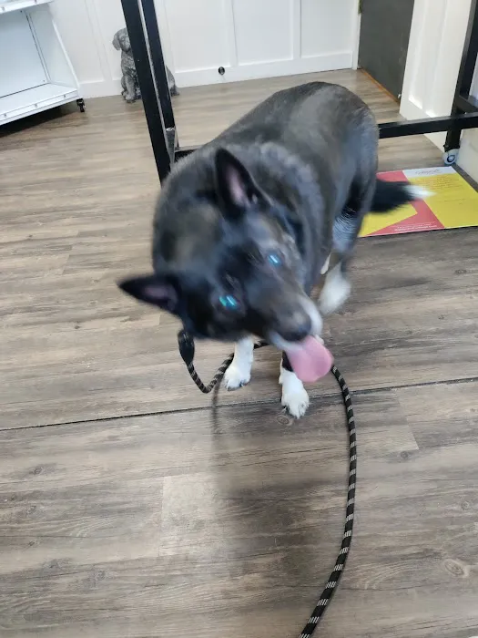 Audrain Veterinary Clinic 6