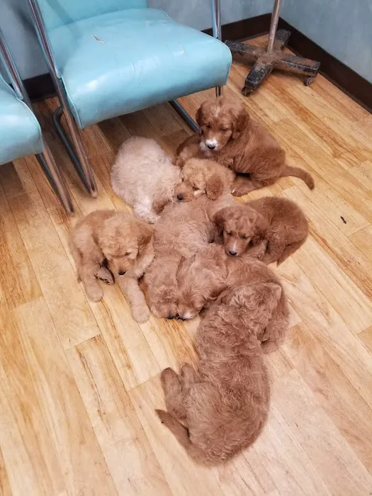 Mexico Animal Hospital 9