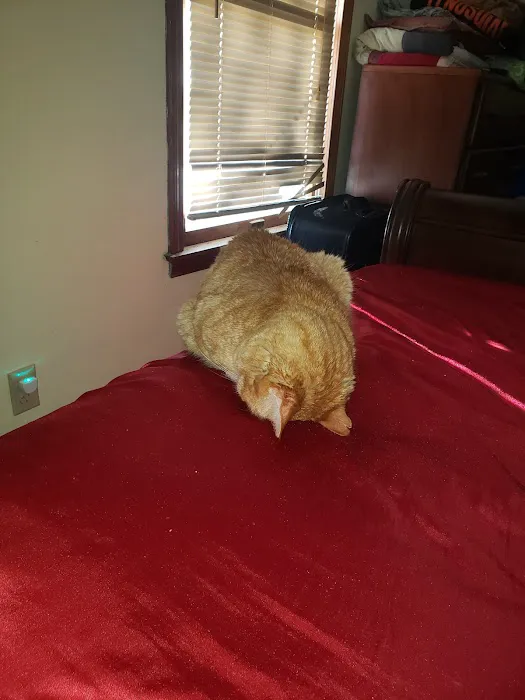 Centralia Veterinary Clinic 4