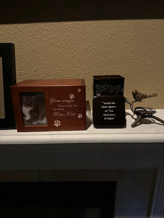 Centralia Veterinary Clinic 7