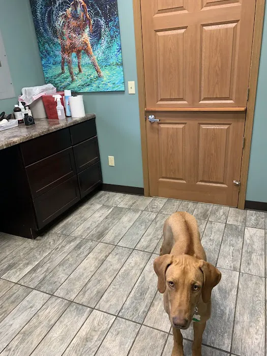 Centralia Veterinary Clinic 9