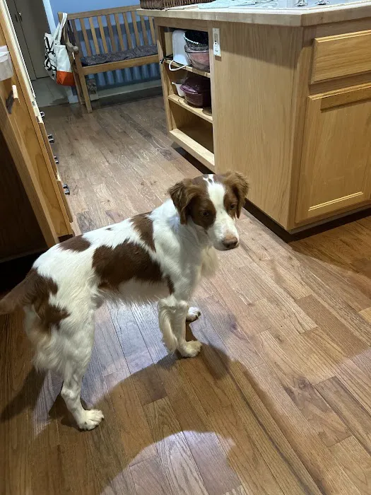 Spring Valley Veterinary Hospital - WEST 1
