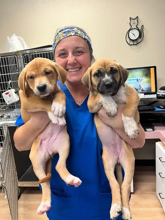 Spring Valley Veterinary Hospital - WEST 3