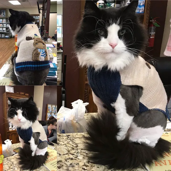 Spring Valley Veterinary Hospital - WEST 9