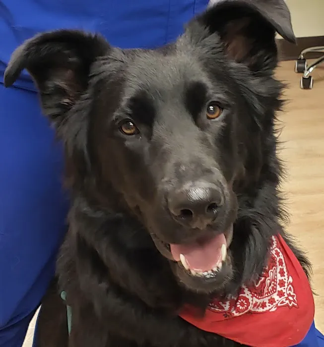 Spring Valley Veterinary Hospital - WEST 6