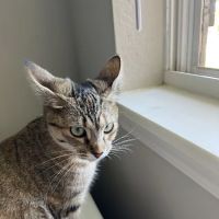 Bradford Park Veterinary Hospital ico