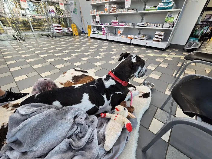 Bradford Park Veterinary Hospital 7