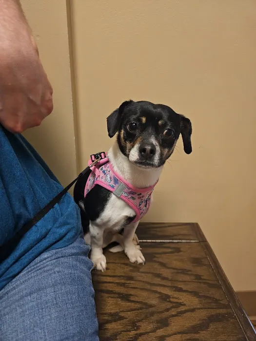 Springfield Veterinary Center 6