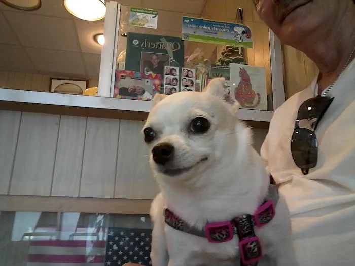 Cottage Veterinary Hospital 2