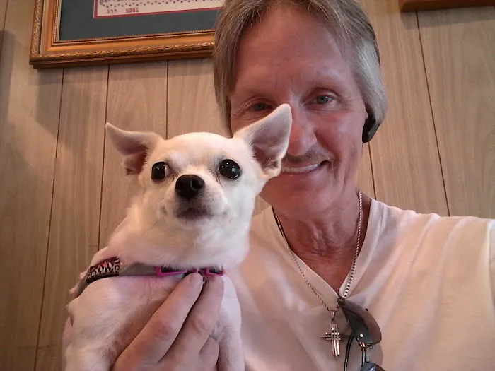 Cottage Veterinary Hospital 1