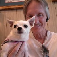 Cottage Veterinary Hospital ico