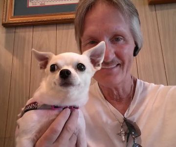 Cottage Veterinary Hospital