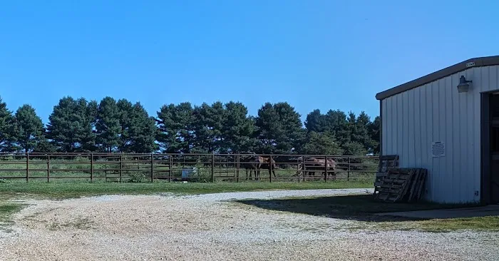 Whetstone Veterinary Clinic 2