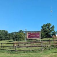Whetstone Veterinary Clinic ico