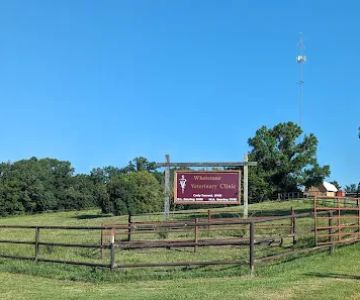 Whetstone Veterinary Clinic