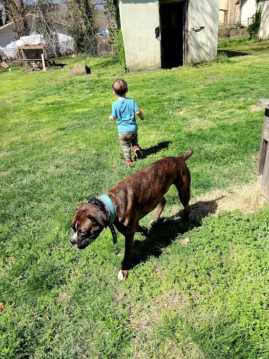Town & Country Small Animal Hospital 8