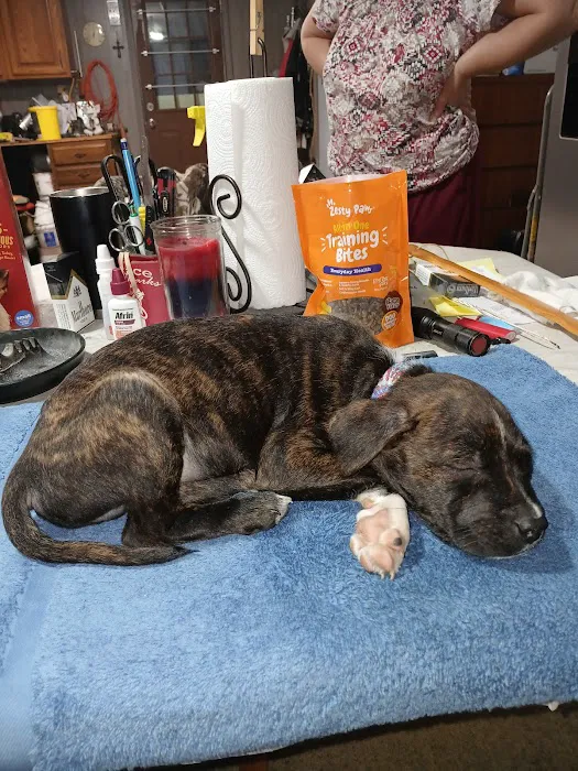 Town & Country Small Animal Hospital 3